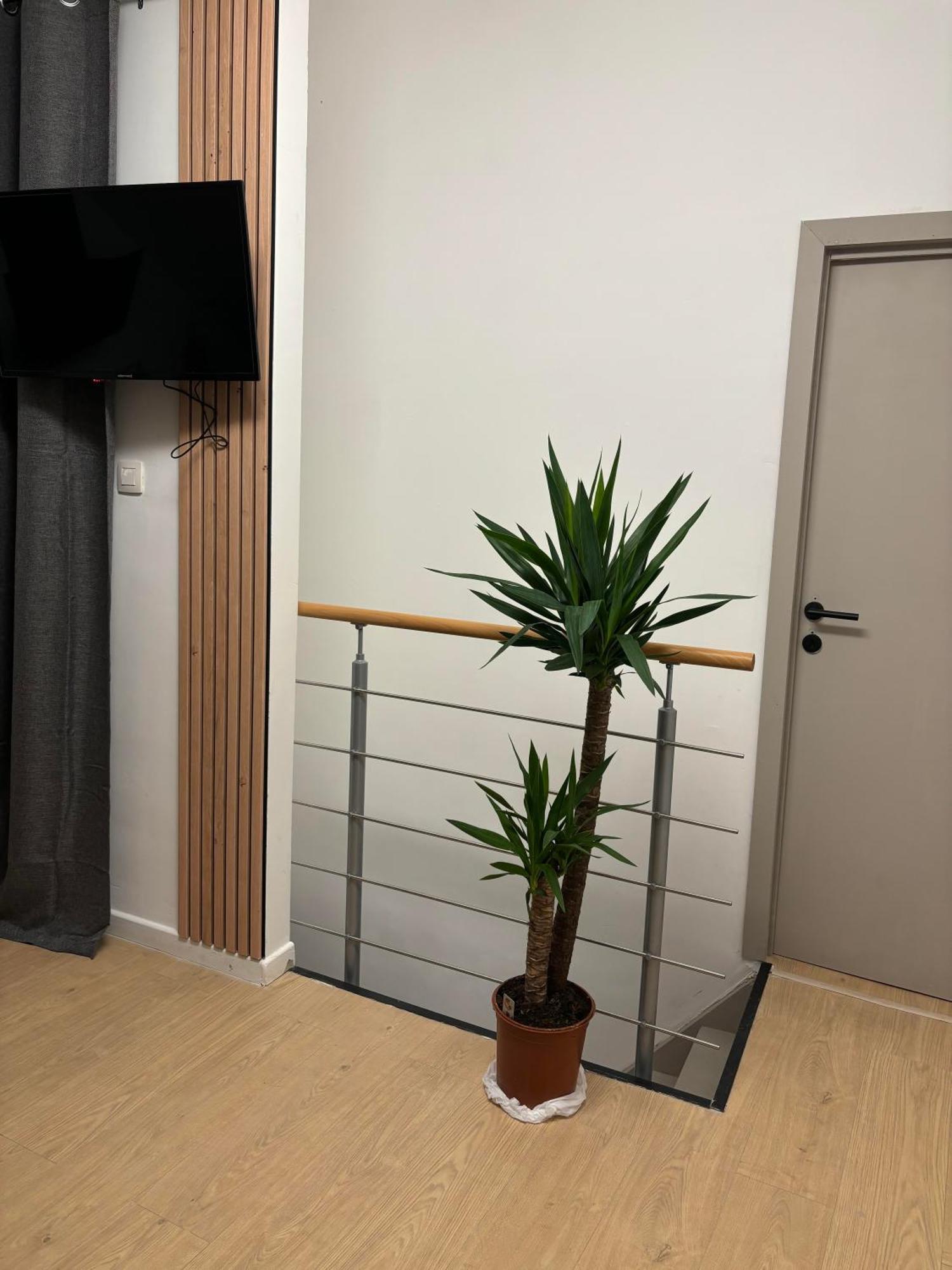 Ubuntu House - Charleroi Apartment ภายนอก รูปภาพ