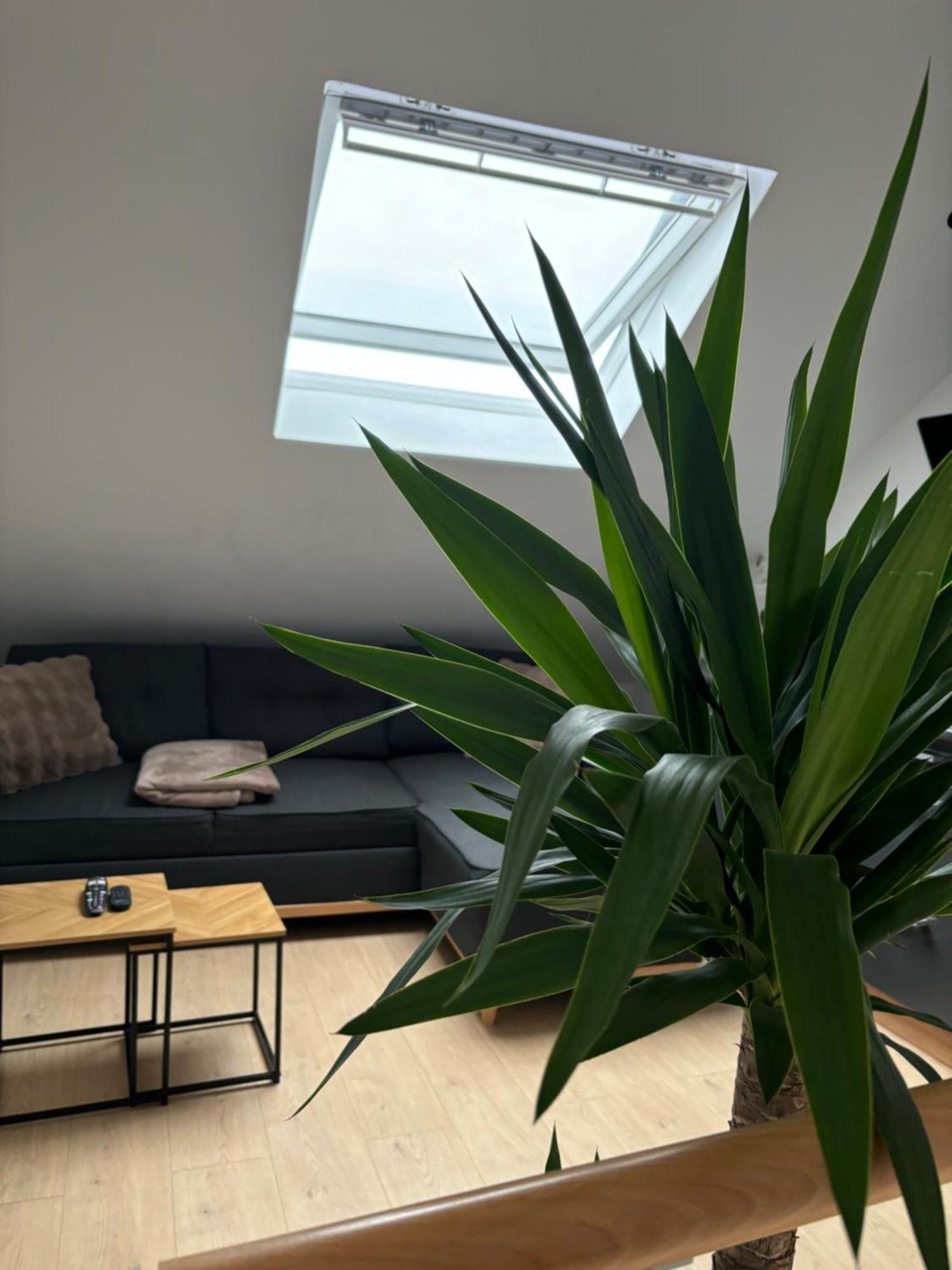 Ubuntu House - Charleroi Apartment ภายนอก รูปภาพ